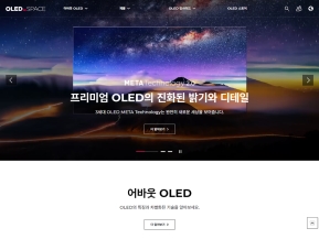 OLED Space					 					 인증 화면